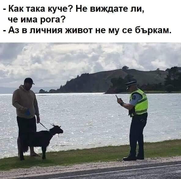 92262959_2899783010068373_6976541938417664000_n