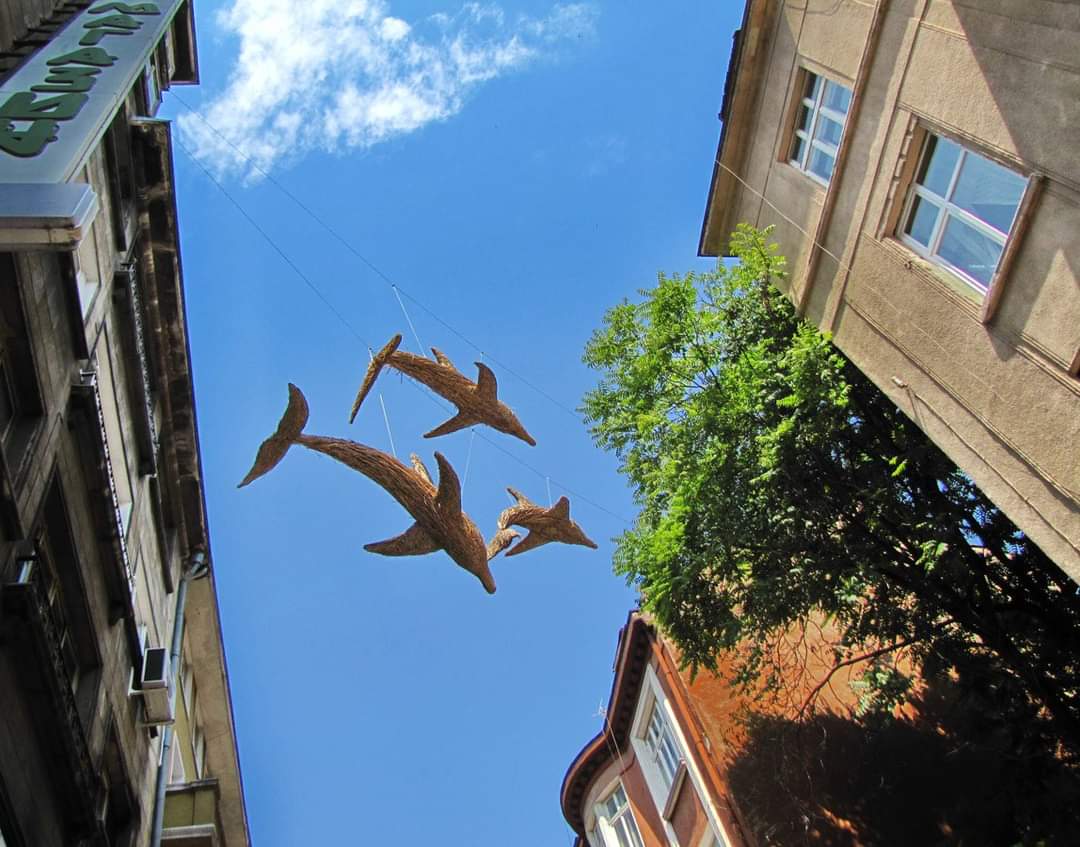 FB_IMG_1598267553948