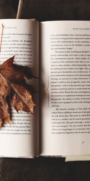 ksenia-makagonova-LuK-MuZ-yf0-unsplash