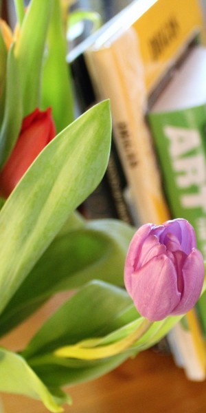 tulips-2214156_1920