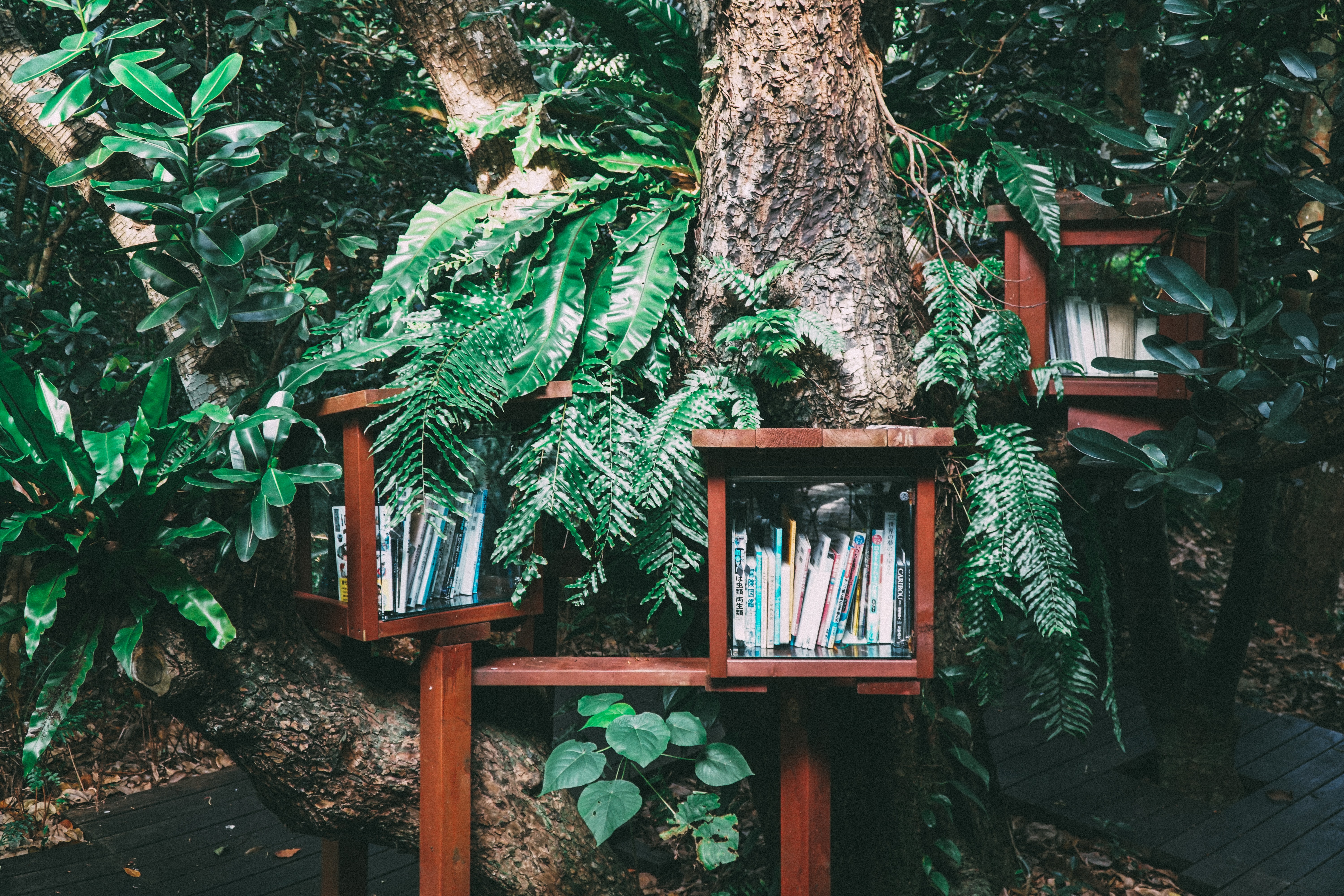 hitoshi-suzuki-1COcTd3pRCg-unsplash
