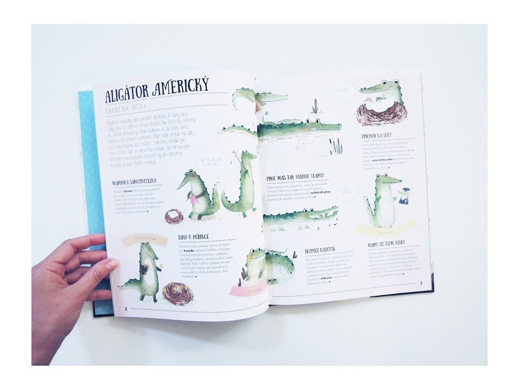 30764_13847-co-ma-klokan-ve-vaku-aneb-jak-zvirata-vychovavaji-sva-mladata-pavla-hanackova