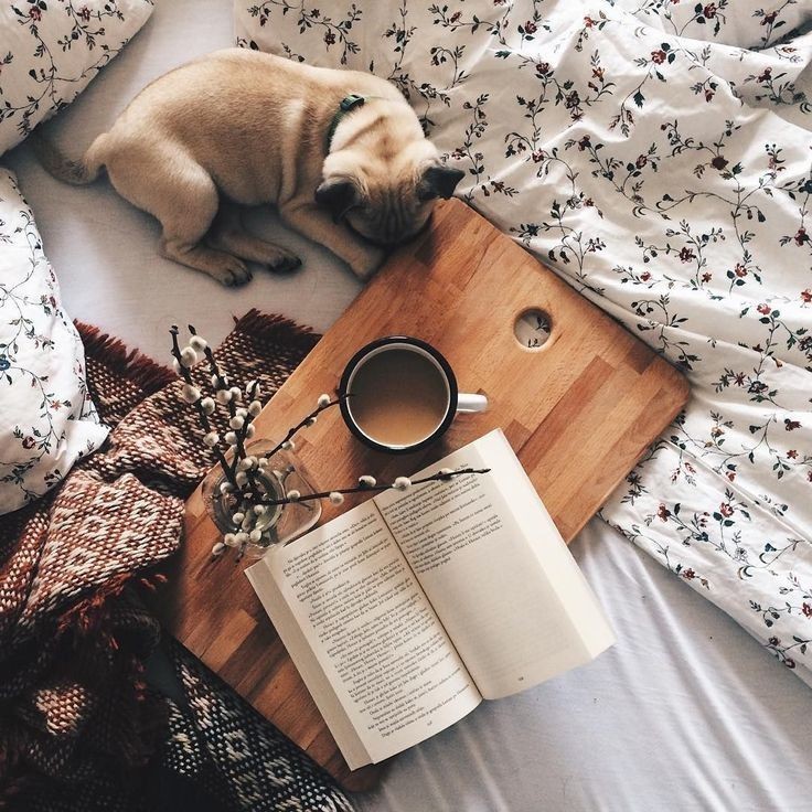 274066759_4852683031482354_2054188477098978881_n