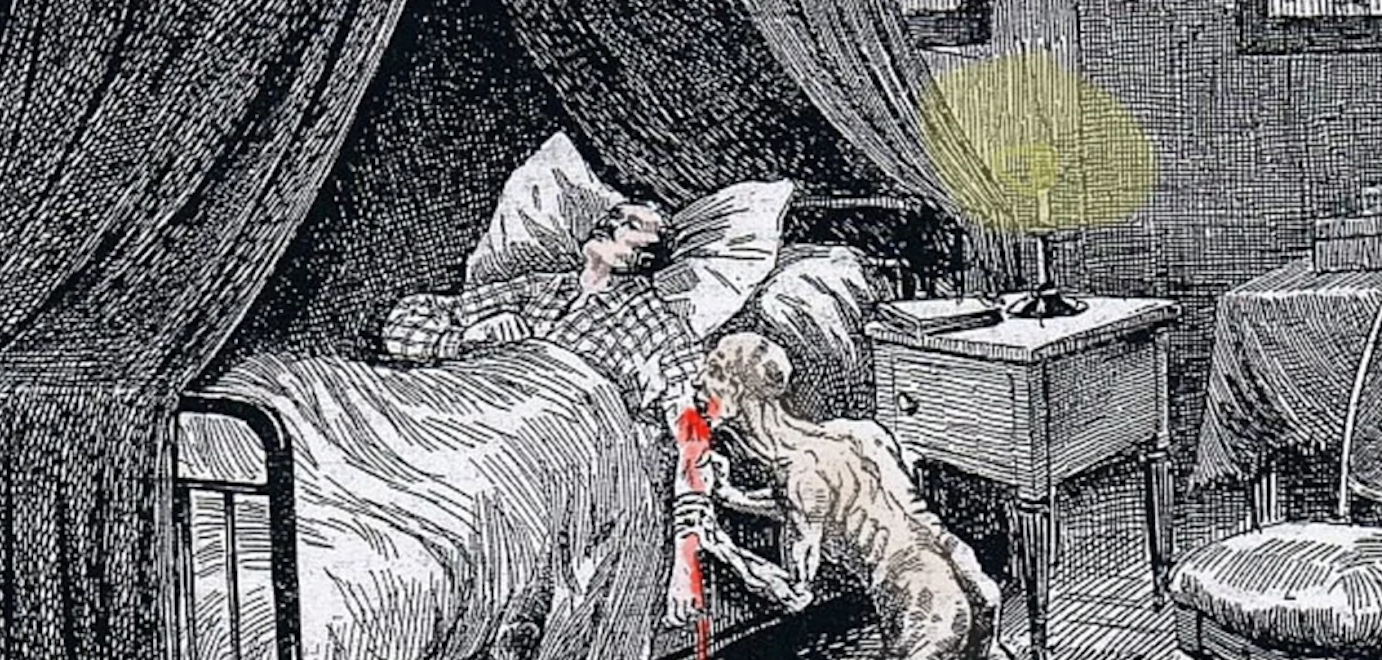 Screen-Shot-2022-02-12-at-9.03.56-PM