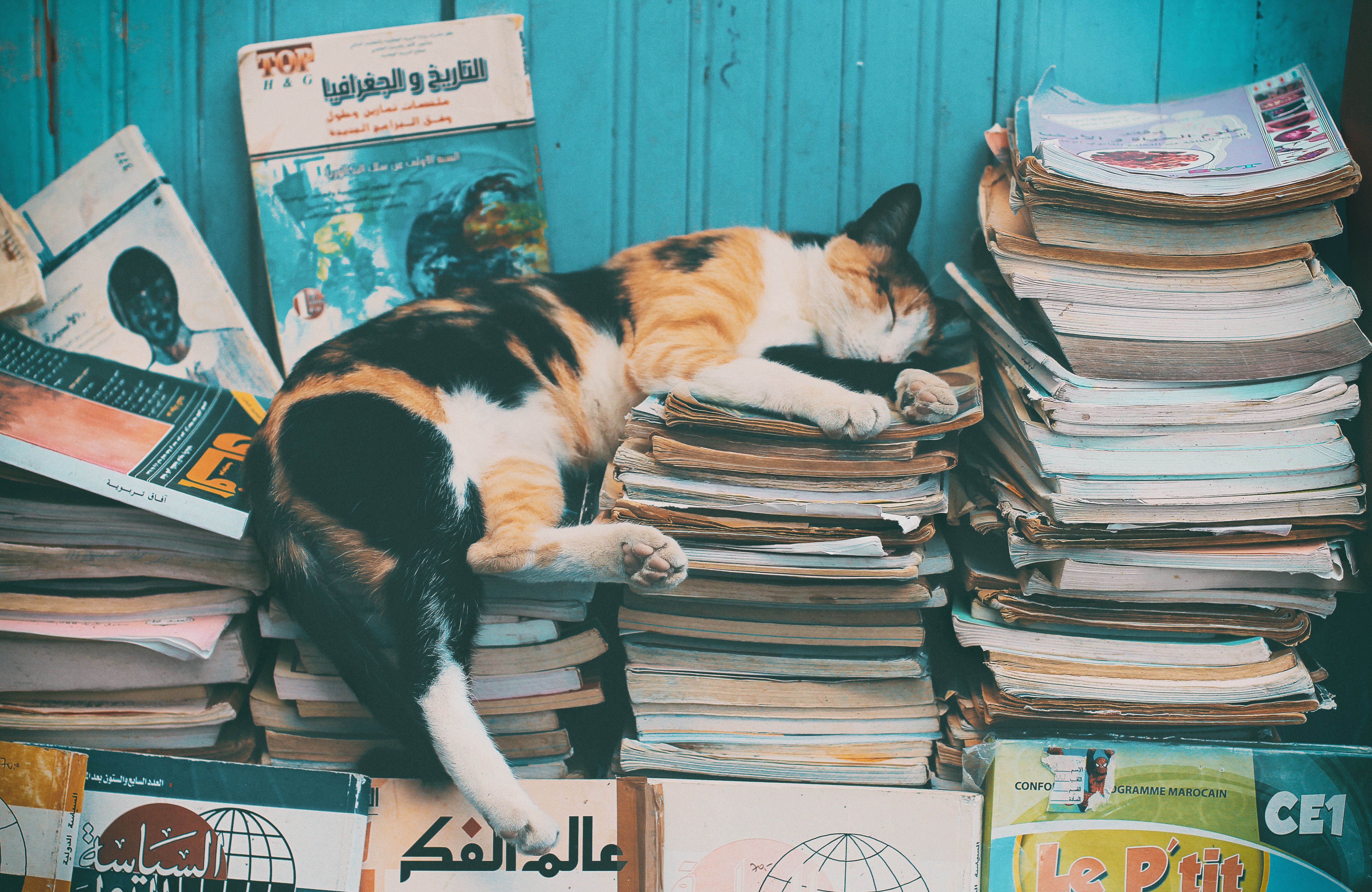 aziz-acharki-1083861-unsplash