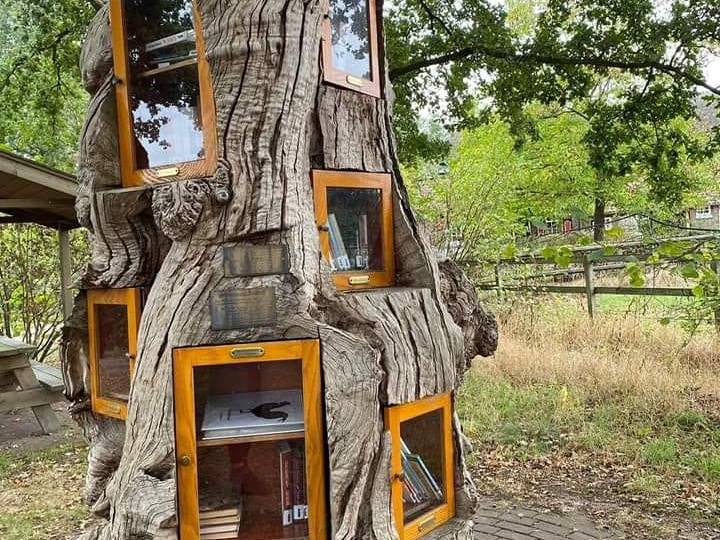 306637317_543471970912_2440589901776167642_n