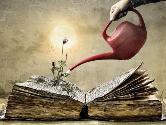 2a81e7fea7d8b4e017850c8a9236