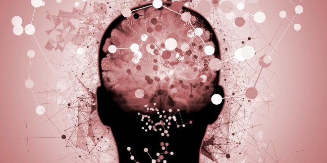 Neuroscience-Braping-Confusion-Dementia