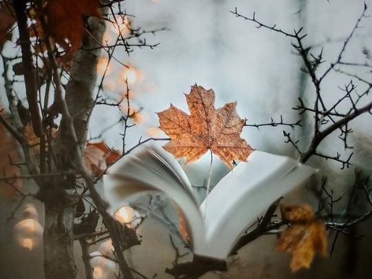 aaf0ef9667da5c2762d83620349