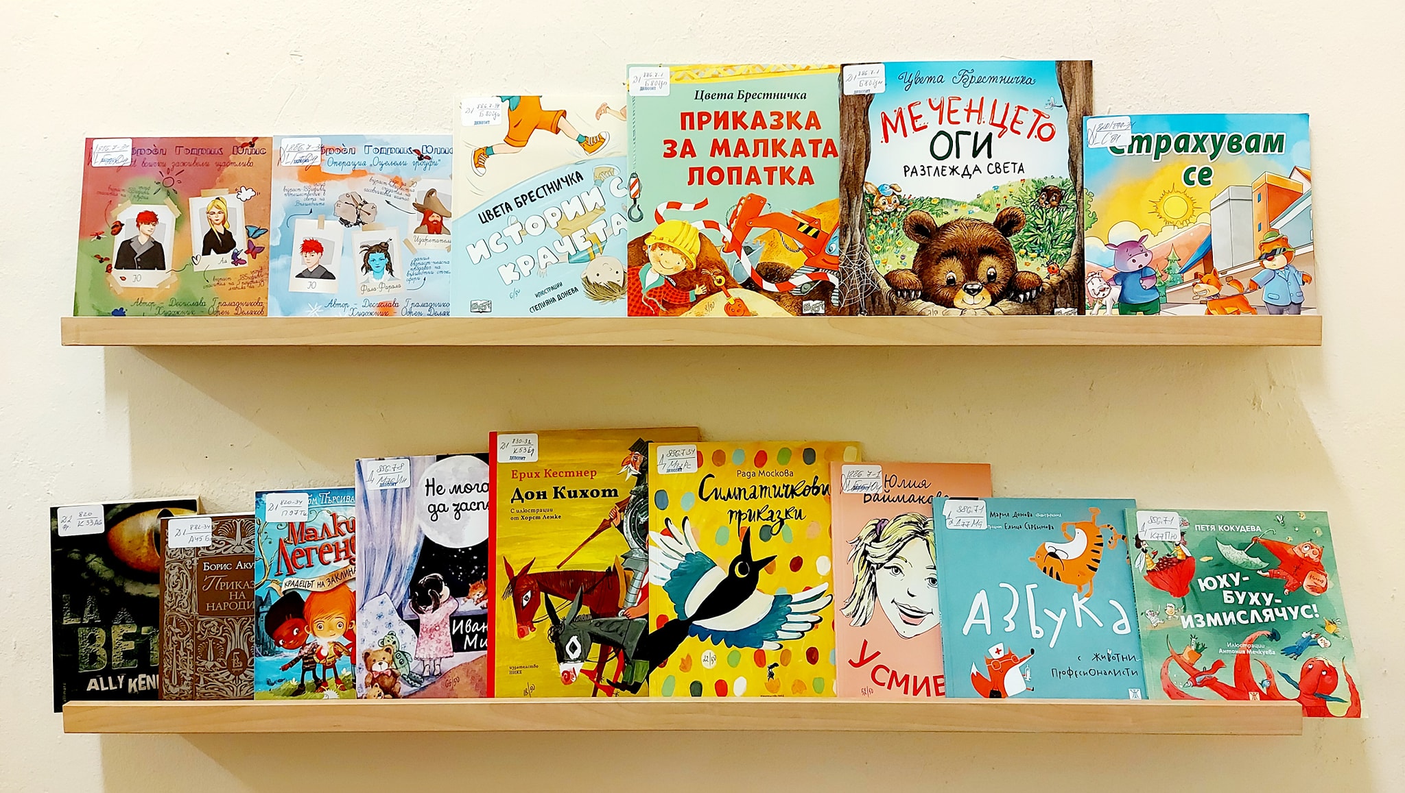 324598558_1201652557407879_6498879500641809698_n