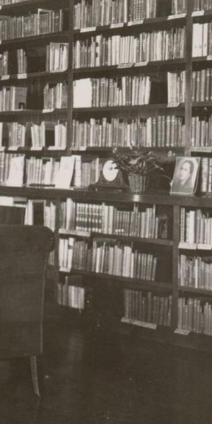 Snimek-obrazovky-2023-06-27-v-8.07.33