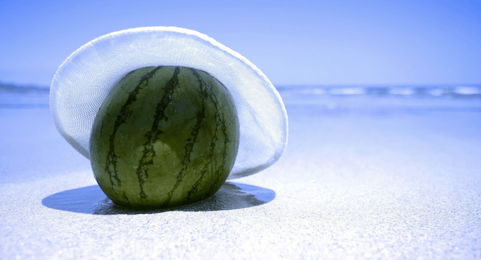 830d9056a4d0c9c08053ebf245b34f1d