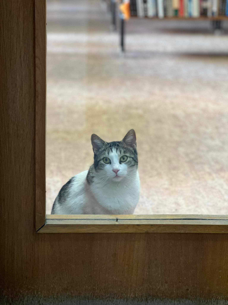 430080048_8161833373832700_5584561775246429130_n