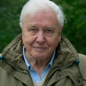 David-Attenborough