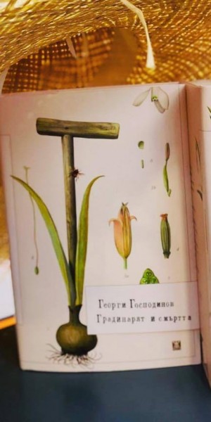 456967248_1142262790836_4109330905068423573_n