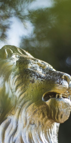 yasin-alsbey-j0hUquId-AY-unsplash