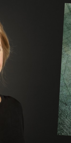 банер История на пчелите