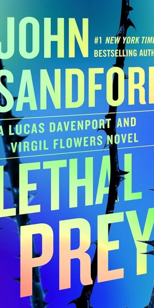 81MDrPBPH4L._UF1000,1000_QL80_