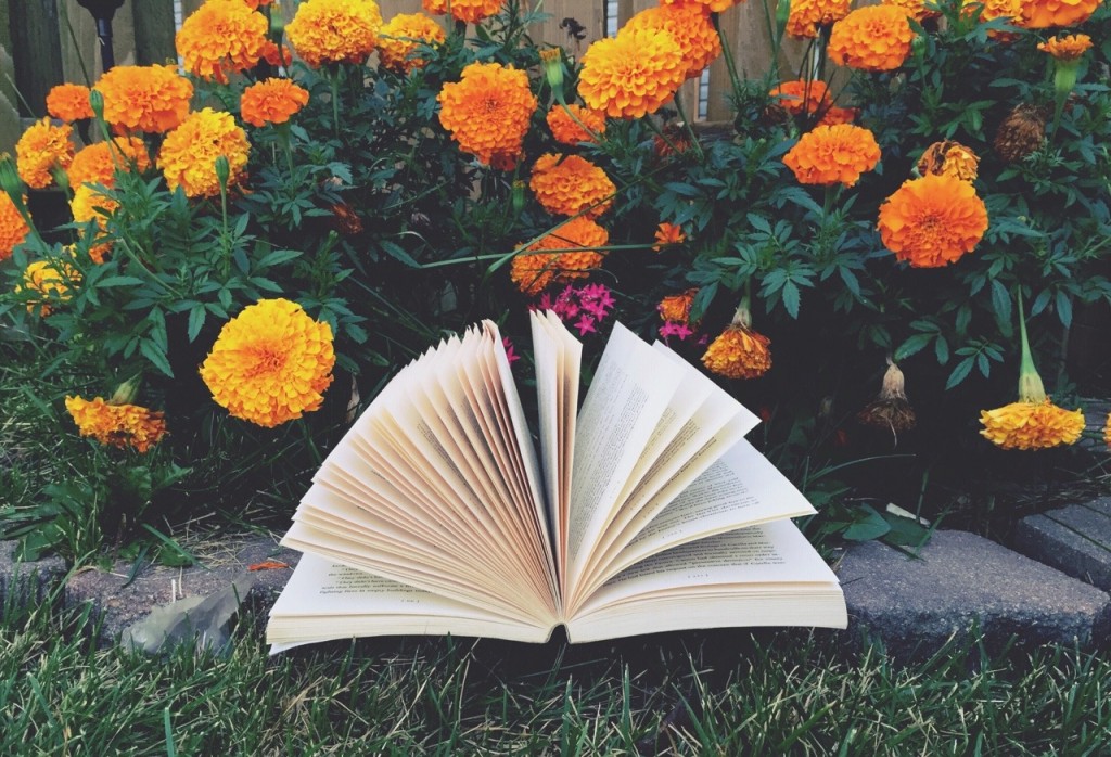 494035999_987208656901797_5342857030611484088_n