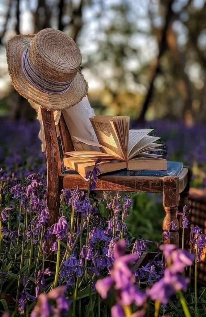 497448622_991662883123041_6483194306735931737_n