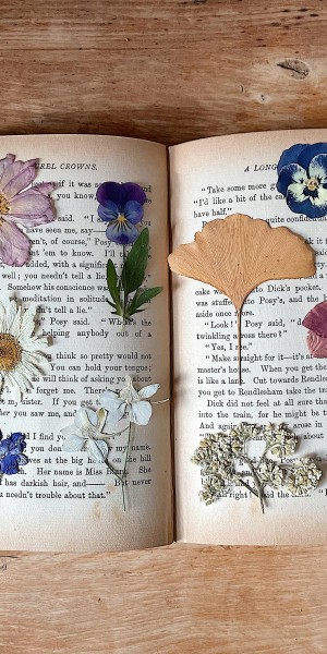 pexels-merve-bayar-158520570-11001424