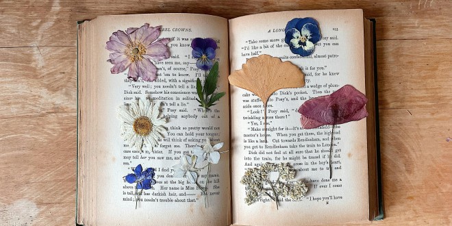 pexels-merve-bayar-158520570-11001424