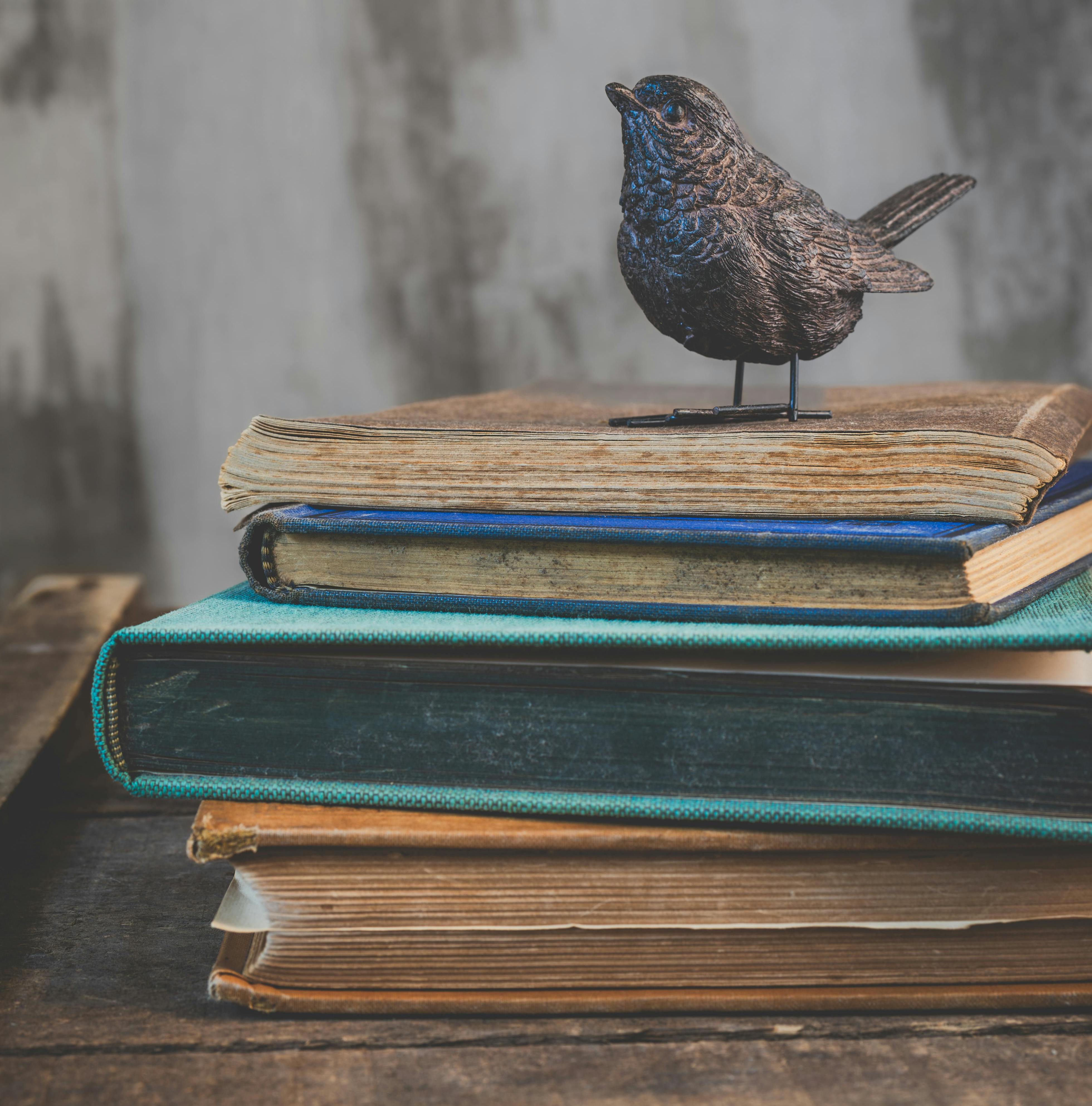 pexels-nietjuhart-20395468_