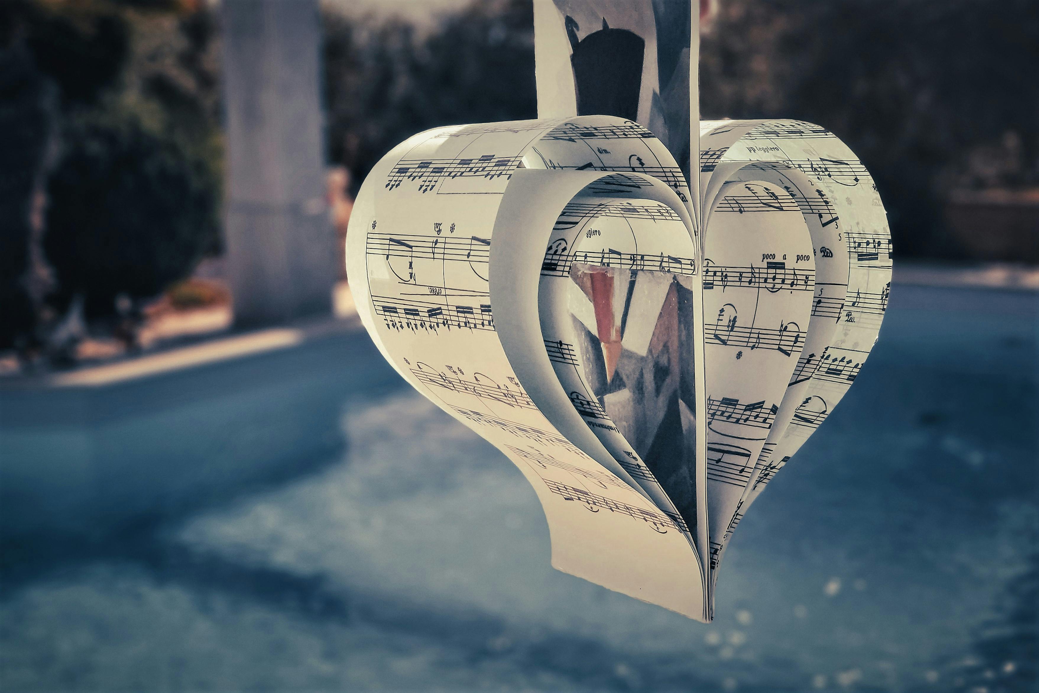 pexels-van3ssa-peace-love-272678138-13950837