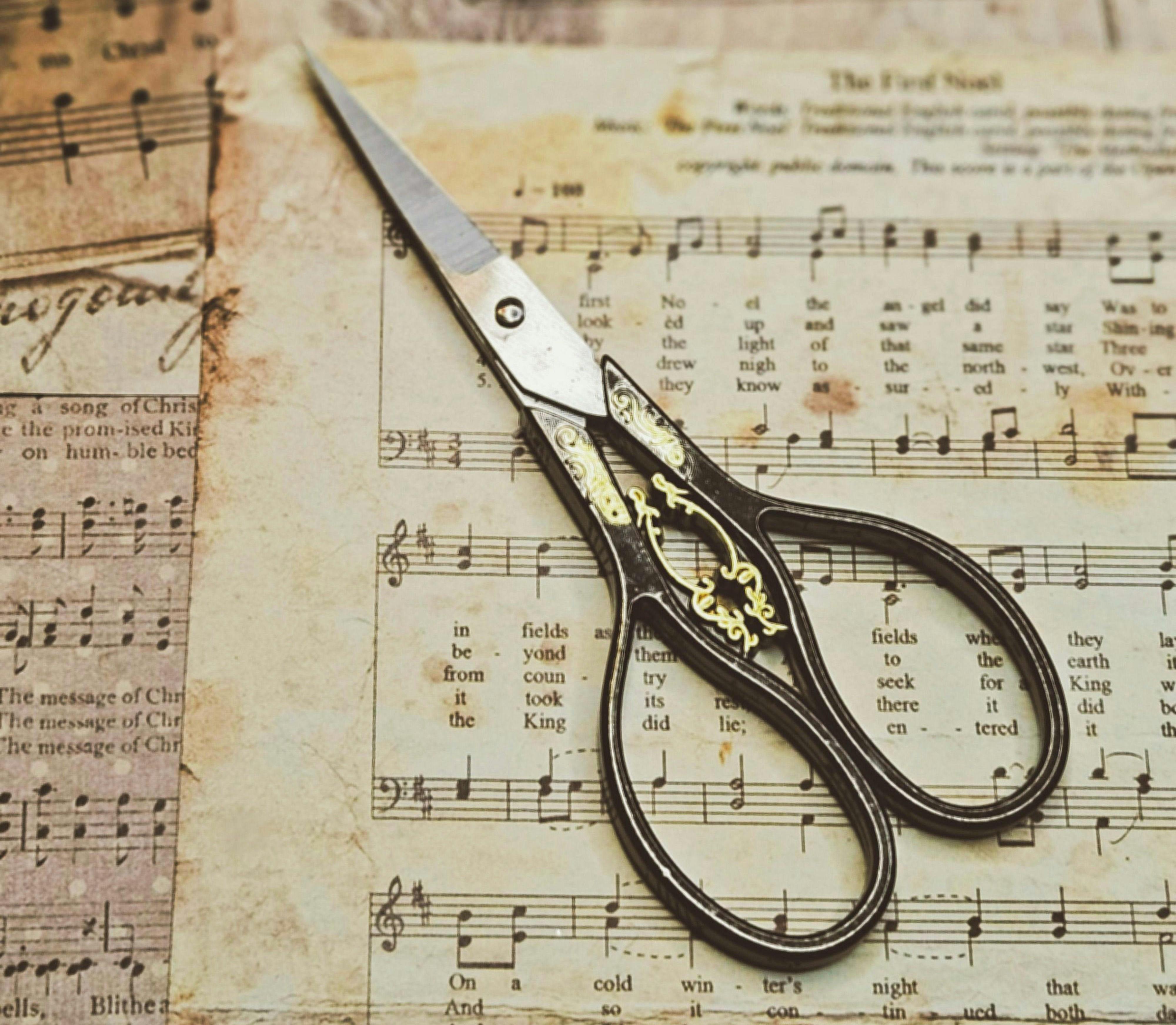 pexels-van3ssa-peace-love-272678138-30696970_